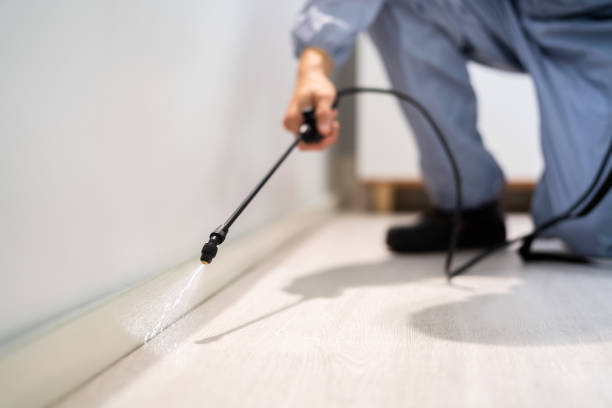 Licensed Emergency Pest Control service in Bull Run Mountain Estates, VA - Nex Pest Control