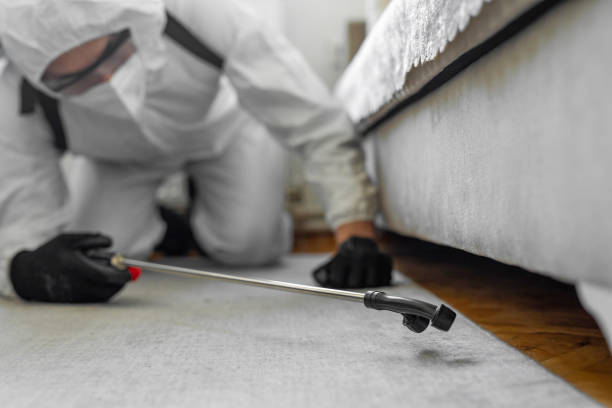 Professional Emergency Pest Control technician working in Bull Run Mountain Estates, VA