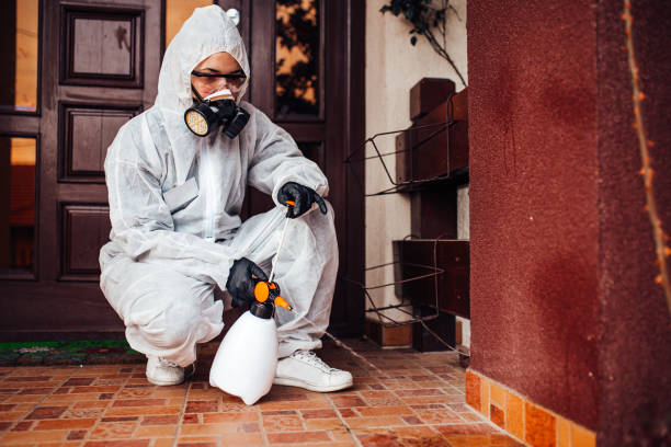 Reliable Emergency Pest Control contractor in Bull Run Mountain Estates, VA by Nex Pest Control