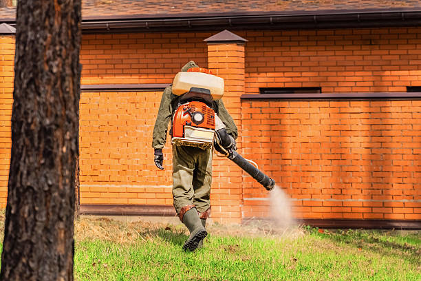 Trusted Fumigation Services service in Bull Run Mountain Estates, VA - Nex Pest Control